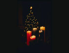Christmas Wallpapers 264